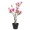 Boliginteriør BOLIGINTERIØR MAGNOLIATRÆ KUNSTIG PLANTE 75 CM Discount