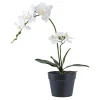Boliginteriør BOLIGINTERIØR ORKIDE KUNSTIG PLANTE 49 CM^ Boligindretning