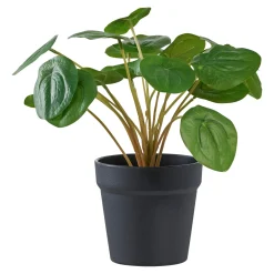 Boliginteriør BOLIGINTERIØR PELIA KUNSTIG PLANTE 28 CM^ Boligindretning