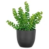 Boliginteriør BOLIGINTERIØR SUKULENT KUNSTIG PLANTE 20 CM^ Boligindretning