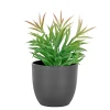 Boliginteriør BOLIGINTERIØR SUKULENT KUNSTIG PLANTE 19 CM Discount