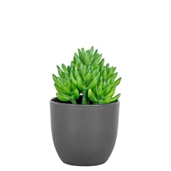 Boliginteriør BOLIGINTERIØR SUKULENT KUNSTIG PLANTE 17 CM^ Boligindretning