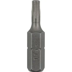 Bosch DIY 2609255933 BITS T15 5^ Tilbehør Elværktøj
