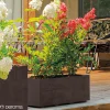 Deroma MILLENIUM 208-609 PLANTEKASSE PLASTIK ANTRACITGRÅ L59 CM Discount