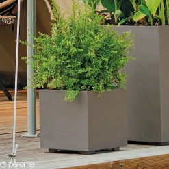 Deroma MILLENIUM 208-622 PLANTEKASSE PLASTIK SANDSTEN 39X39X39 CM Best