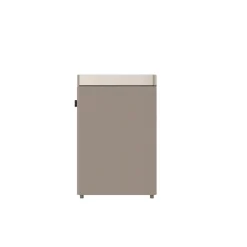 ELL PURY PURIFIER GOLDEN LUFTRENSER^ Affugtere