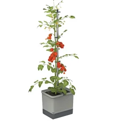 Garden Life TOMAT PLANTEKASSE L34,7XB27,7XH135,4 CM^ Frø & Spiring