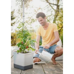 Garden Life TOMAT PLANTEKASSE L34,7XB27,7XH135,4 CM^ Frø & Spiring