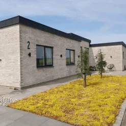 GrowTek TIL HAVEN OG BUNDDÆKKE SEDUMMÅTTE^ Grønne Tage