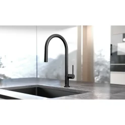 Hansgrohe TALIS M54 210 KØKKENARMATUR MAT SORT^ Køkkenarmaturer