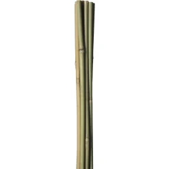 HOME it GARDEN BAMBUSPINDE 180 CM Discount