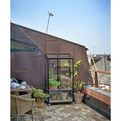 Juliana CITY GREENHOUSE VÆGDRIVHUS 4 MM HÆRDET GLAS HELE BANER SORT 0,32 M2^ Vægdrivhuse