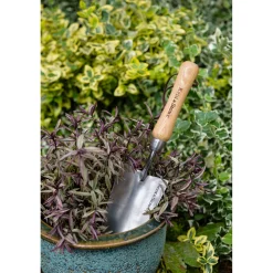 Kent & Stowe PLANTESKE Online