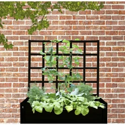 LAND ESPALIER Outlet