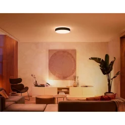Philips Hue WA ENRAVE L PLAFOND 34W SORT 476 MM^ Smart Belysning
