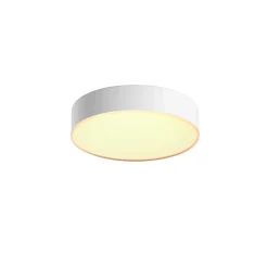 Philips Hue WA ENRAVE S PLAFOND 10W HVID 318 MM^ Smart Belysning