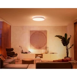 Philips Hue WA ENRAVE XL PLAFOND 48W HVID 600 MM^ Smart Belysning