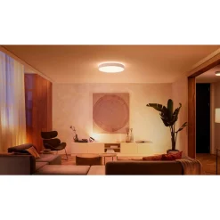 Philips Hue WA ENRAVE XL PLAFOND 48W HVID 600 MM^ Smart Belysning