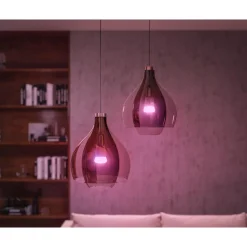 Philips Hue WCA 2 X E27, BRIDGE & DIM. SWITCH STARTSÆT Clearance