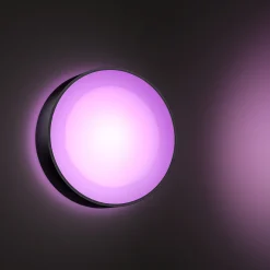 Philips Hue WCA DAYLO UDENDØRS VÆGLAMPE 15W SORT^ Smart Belysning