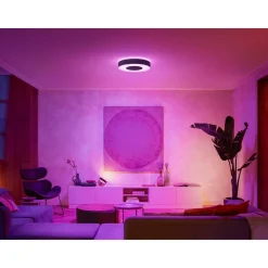 Philips Hue WCA INFUSE PLAFOND 53W SORT 476 MM Discount