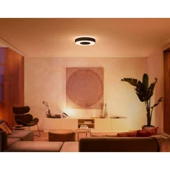 Philips Hue WCA INFUSE PLAFOND 53W SORT 476 MM Discount