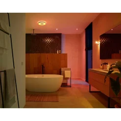 Philips Hue WCA XAMENTO PLAFOND 34W HVID 437 MM^ Smart Belysning