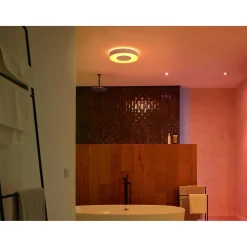 Philips Hue WCA XAMENTO PLAFOND 53W HVID 476 MM^ Smart Belysning