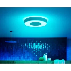 Philips Hue WCA XAMENTO PLAFOND 53W HVID 476 MM^ Smart Belysning