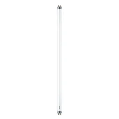 Philips T8 LYSSTOFRØR G13 8W^ Lysstofrør