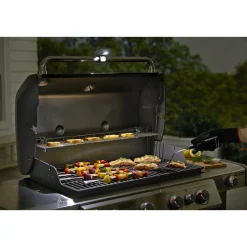 Weber LYS New