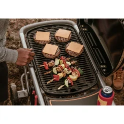 Weber TRAVELER GASGRILL SORT Online