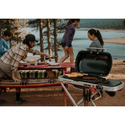 Weber TRAVELER GASGRILL SORT Online