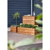Wimex PLANTEKASSE FYR 36 X 48.20 X 118.20 CM Sale